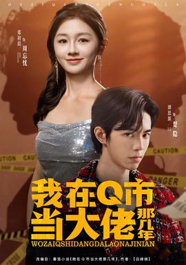 我在Q市当大佬那几年海报