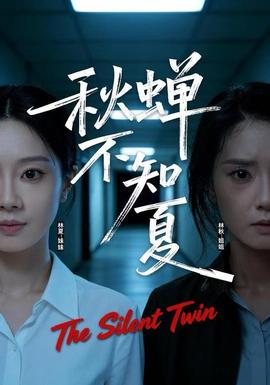 秋蝉不知夏海报