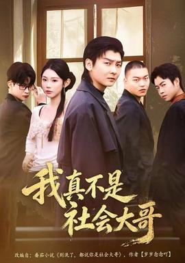 我真不是社会大哥海报