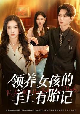 领养女孩的手上有胎记海报
