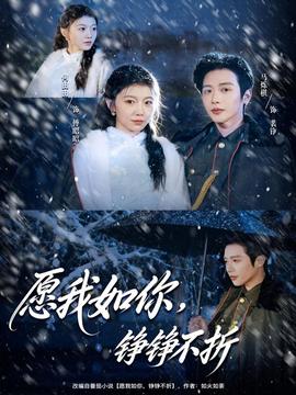 愿我如你，铮铮不折海报