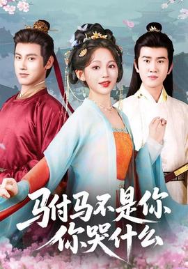 驸马不是你，你哭什么海报