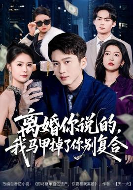 离婚你说的，我马甲掉了你别复合海报