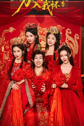 万里江山入我怀2海报