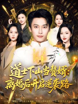 道士下山当赘婿：离婚后开启逆袭路海报