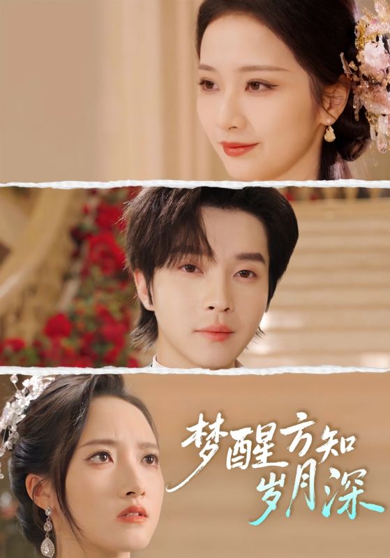 梦醒方知岁月深海报