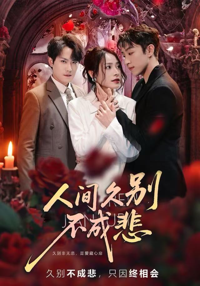 人间久别不成悲海报