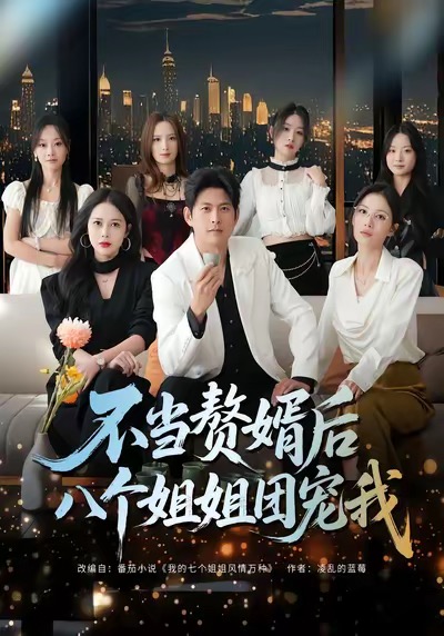 不当赘婿后八个姐姐团宠我海报