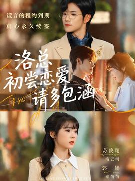 洛总初尝恋爱请多包涵海报