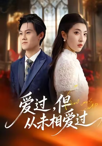 爱过，但从未相爱过海报