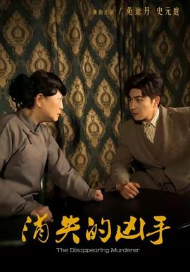 消失的凶手海报