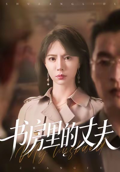 书房里的丈夫海报