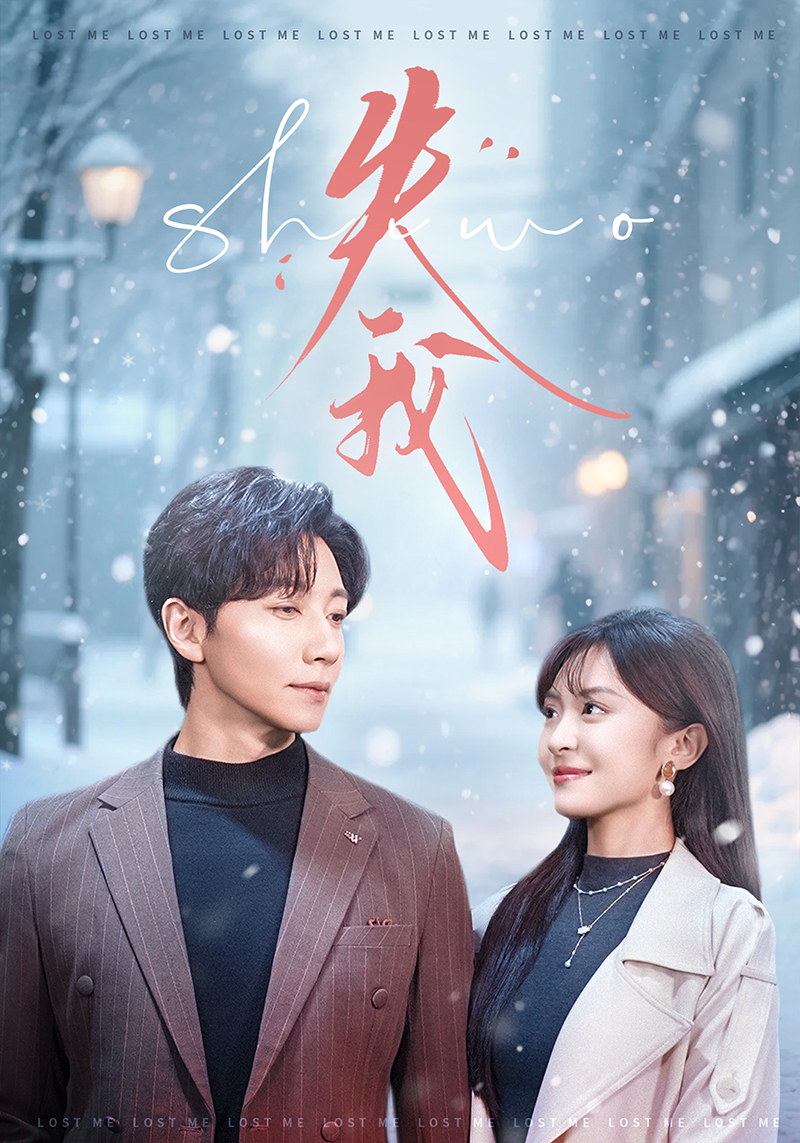 失我海报