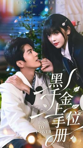 黑千金上位手册海报