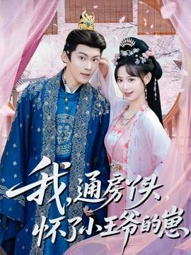 我通房丫头怀了小王爷的崽海报