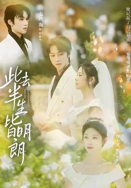 此去半生皆明朗海报