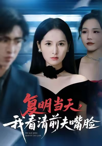 复明当天，我看清前夫嘴脸海报