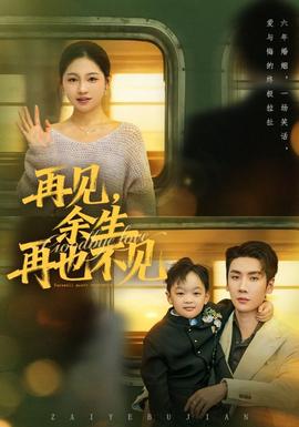 再见余生再也不见海报