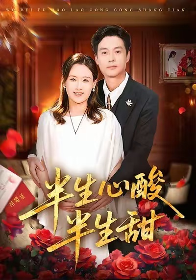 半生心酸半生甜海报