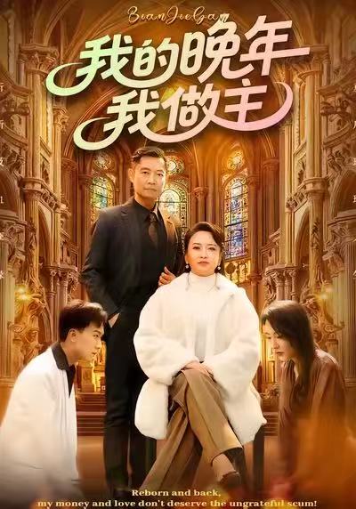 我的晚年我做主海报