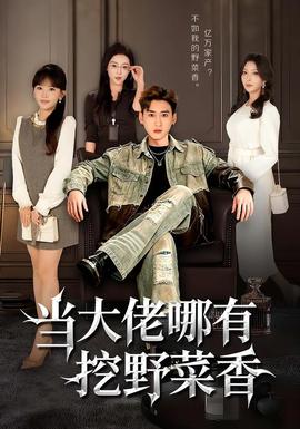 当大佬哪有挖野菜香海报