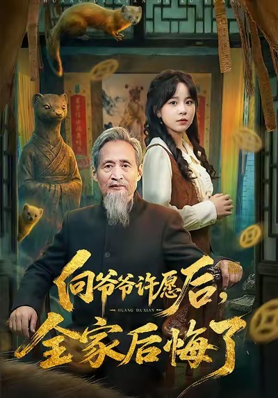 向爷爷许愿后，全家后悔了海报