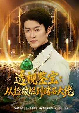 透视鉴宝：从捡破烂到赌石大佬海报