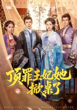 顶罪王妃她掀桌了海报