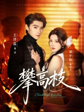攀高枝海报