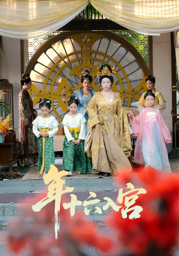 年十六入宫海报