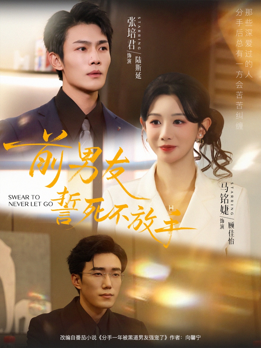 前男友誓死不放手海报