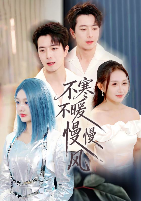 不寒不暖慢慢风海报