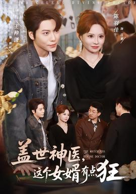 盖世神医，这个女婿有点狂海报