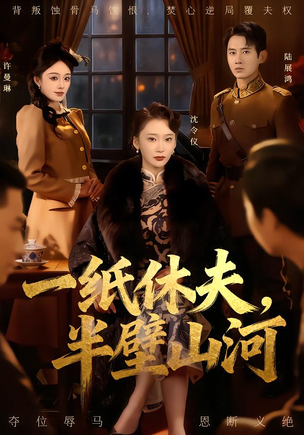 一纸休夫，半壁山河海报