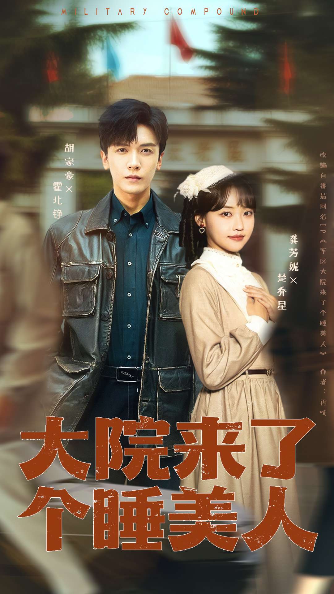 大院来了个睡美人68集版海报