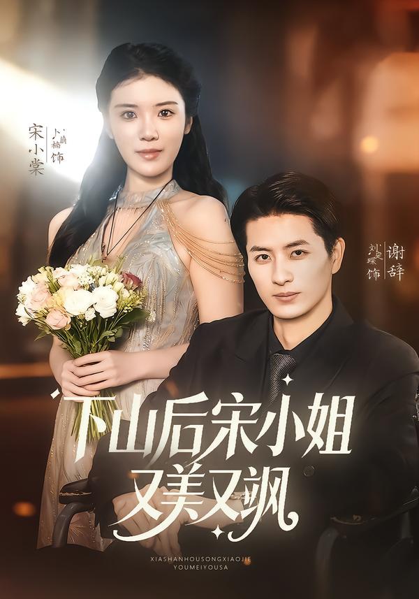 下山后宋小姐又美又飒海报
