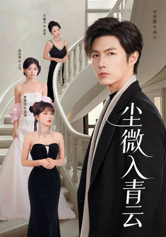 尘微入青云海报