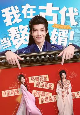 我在古代当赘婿海报