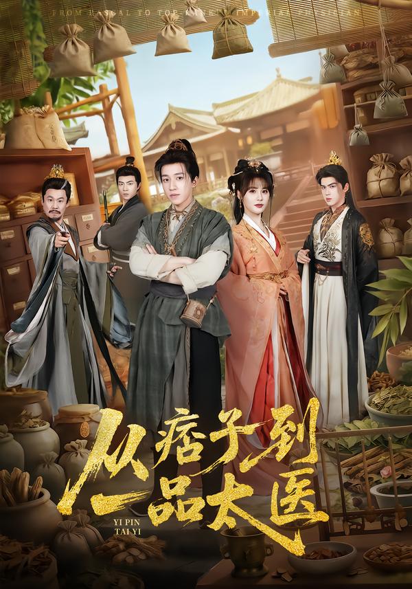从痞子到一品太医海报