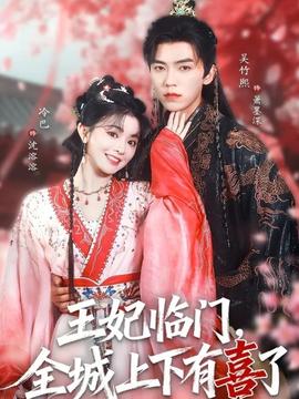 王妃临门全城上下有喜了海报
