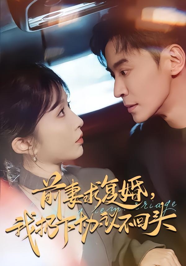 前妻求复婚，我扔下协议不回头海报