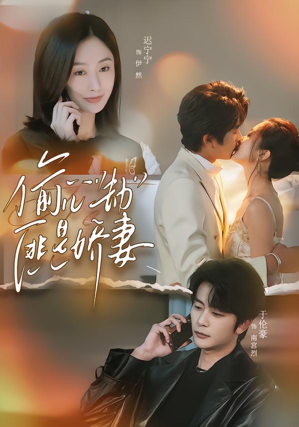 偷心劫匪是娇妻海报