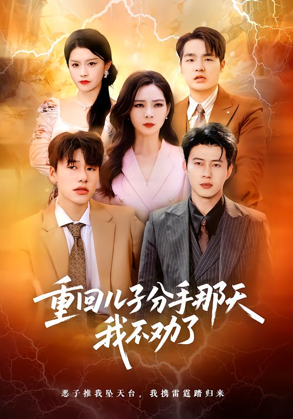 重回儿子分手那天，我不劝了海报