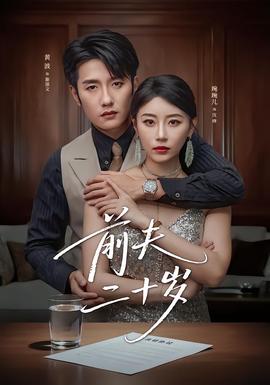 前夫二十岁海报