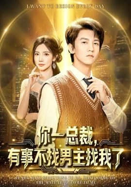 你一总裁，有事不找男主找我了海报