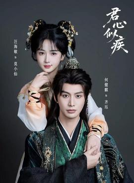 君心似疾海报