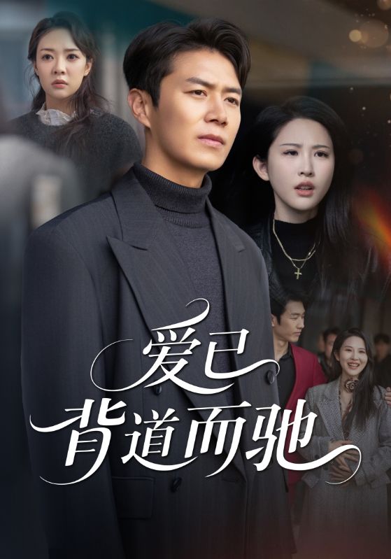 爱已背道而驰海报