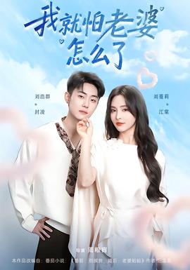 我就怕老婆怎么了海报