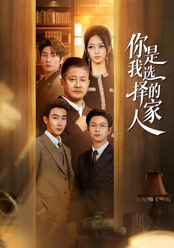 你是我选择的家人海报