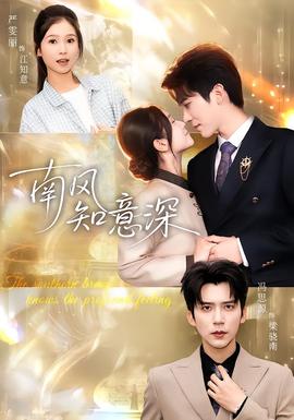 南风知意深海报